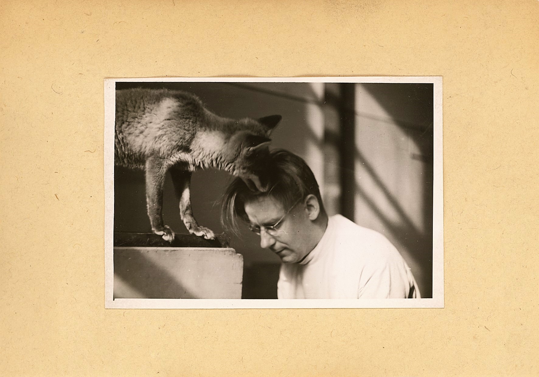 Fig. 2 Behavioral biologist Günter Tembrock and a red fox called „Fiffi“ in the lab, © TFSB